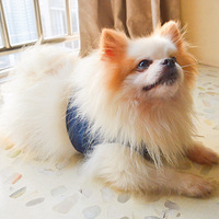 ���Ҽ���˧���ɱ�����ɱ估�����ֵܵĳɳ�����