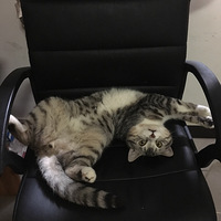 ��������è�������򰡰���������