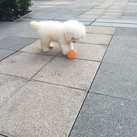 �Ҷ������ˣ�Ů���������Ķ�