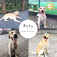 ����б������ɣ��ҵ�С̫��һ�����ˡ�