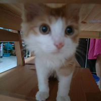 Ҫ��˯���ļ�ǿ��