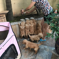 �ҷ��ҵ������㲻ϲ�����Ƶ�