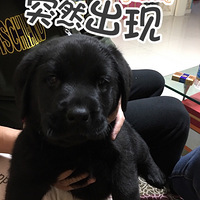 ��������Ե��˵˵Ϊʲô�Ż������Ż���