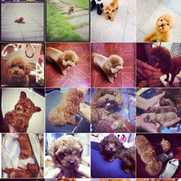 ��������Ե������Ŀ���