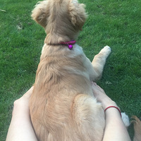 ����ô������ô��