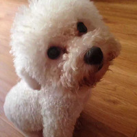 ��������Ե�������ҵ�angle