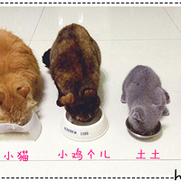 ��������Ե����ֻ�����ˣ������ǵİ�����һ���Ӳ��벻����