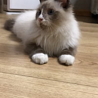 ��������Ե���Ҽҵĸ���ֵС����