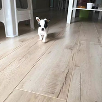 ��������Ե�����������������ȵ�С��������