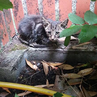 �����������Ҽҿ�һ����~��