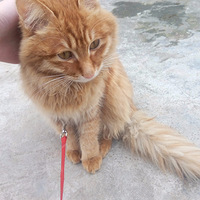 ��������Ե��˵˵���������������ô��æ������ģ�