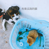 ��������Ե��С�ߺͲƲƺͱ������ճ�