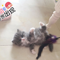 ��������Ե���ҵ�����������һ������ֵ��������zi......