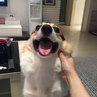 ��������Ե�������ȳ�