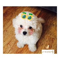 ����  ����