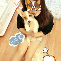 ��������Ը�� һֻС���ȵ��ճ�