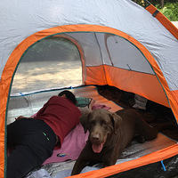 ��������Ե���ҼҶ��õ��ճ�