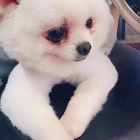 ����һ��Ѫ