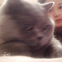 ��������Ե������һֻСè�䣬����������~