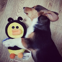 ��������Ե���»������������������ǵ��ճ�