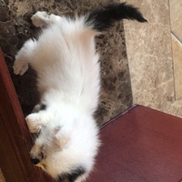 ��������Ե��С�����Ҽ��Ժ����������