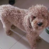 [������Ե]�������ճ�����