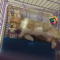 ��������Ե���ǵģ������ٲˣ�Ҳ�������٣�������Ҳ���ݹ��ġ�