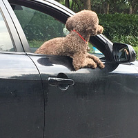 �����������š���A���㹷��Ҫ��������.....