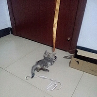 ���һ���������ɸ��ҵ���ʹ