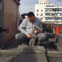 ��ĸһ��ʼ�������������֮��ı仯����