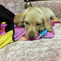 �����������ɼǣ�