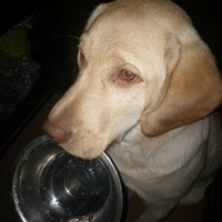 ��������Ե�������������ɼǣ�