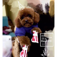 д�����װ��ĵϵ���