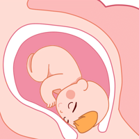 ˳ҲԲôۣ