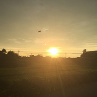 һƬһ飡