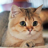 ��������Ե��ç����������