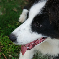 [����]��ֻ�óԹ��п��