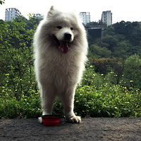 ��������Ե���úú�ˮ����ʲô����