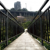 ��������Ե���࿭�࿭ ����ײ����������Ҫ������