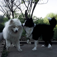 ��������Ե�������á����ӡ���������������ӡ���