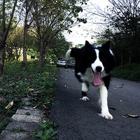 ��������Ե���쵽����������������������