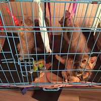 �����٤��ѵ�࿪ʼ��