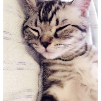 ��������Ե��һ��������Ĳ�ʺ��