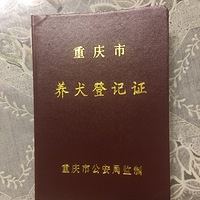 ����������һ���Ϸ�������