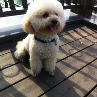 �һ���һ��������