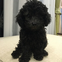 ��ϣ�������¸ҵ����Ӻ�