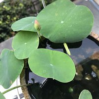 ����������������