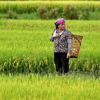 ����ĵ��ӣ����ɫ����