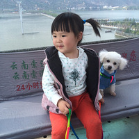 ��˿��Ϯֻ�����ߺͼ����ľ���