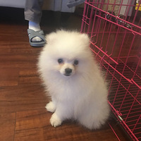 �Ҽ����Σ��Ҽ�����ȡ�����֣�������Ҽ����档֮m